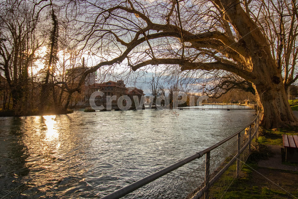 나무,강,난간,플레어,빛,빛번짐,flare,tree,light,river