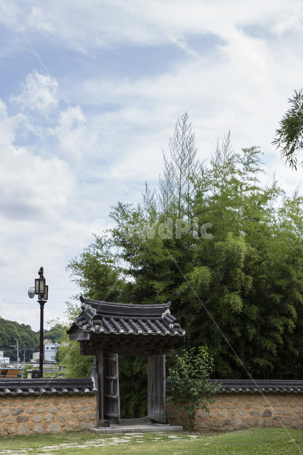 기와,전통,한옥,한국,숲,자연,배경,하늘,구름
