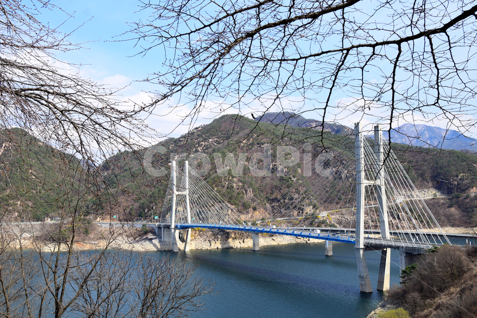 청풍대교,청풍호,호수,다리,물,나무,푸른하늘,대교풍경,bridge,largebridge,bluesky,tree,lake