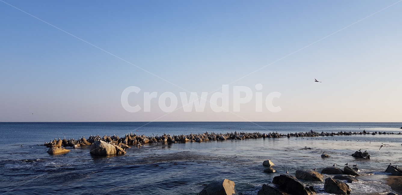 하늘,바다,동해바다,수평선sea,blue,sky,자연,풍경,nature,landscape,water,물