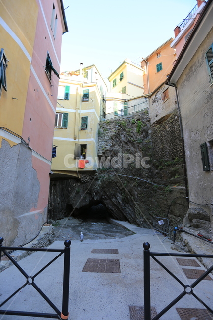 이태리,이탈리아,친퀘테레,italy,cinqueterre,마나롤라,유럽,골목,집,마을,거리
