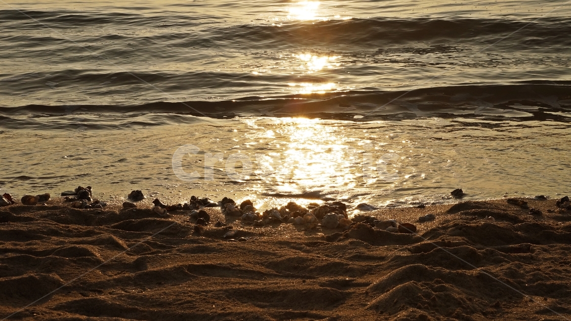 바다,파도,해변,백사장,모래,조개,노을,sea,beach,sand,shell,sunset,자연,풍경,nature,landscape,light,빛,flare,플레어,sunlight,햇빛,outdoors,옥외