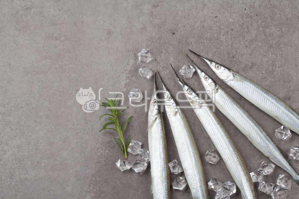 생선,양미리,물고기,정어리,꽁치,과메기,음식,식재료,요리,cook,meal,dishes,food,reserves,수산물,해산물,fishery,products,seafood,음식,식재료,요리,food,cook,meal,dishes,food reserves,수산물,해산물,fishery products,seafood