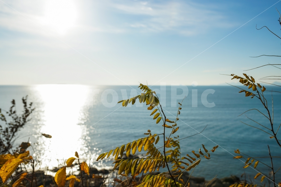 풍경,풍경사진,바다,석양,노을,일몰,감성사진,하늘,sea,sunset,sun,sky,가을,계절,fall,autumn,season,식물,자연,plants,nature,light,빛,flare,플레어