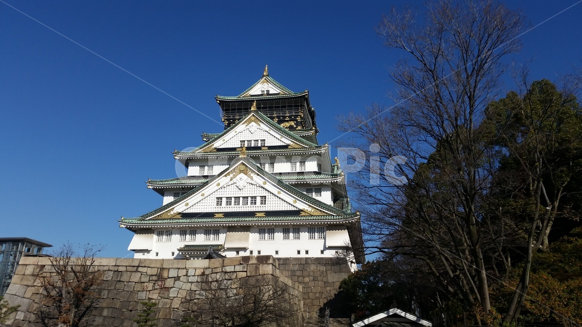 오사카,성,일본,성곽,osaka,하늘,나무,숲,벽돌,전통적인,옛날