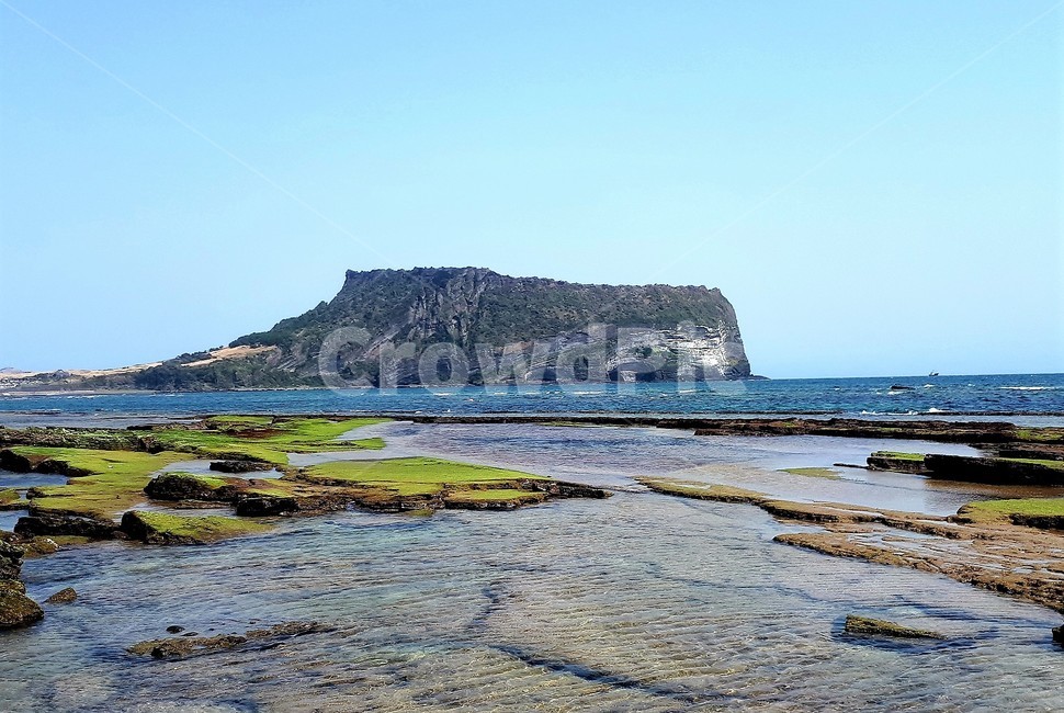 자연,제주도,식물,바다,녹색,성산일출봉,자연,풍경,nature,landscape,한국자연풍경,한국자연경관,korea nature landscape,제주도,jeju,jeju island