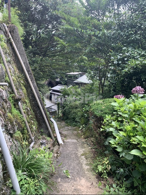 골목길,일본,마을,동네,시골길,자연,풍경,nature,landscape