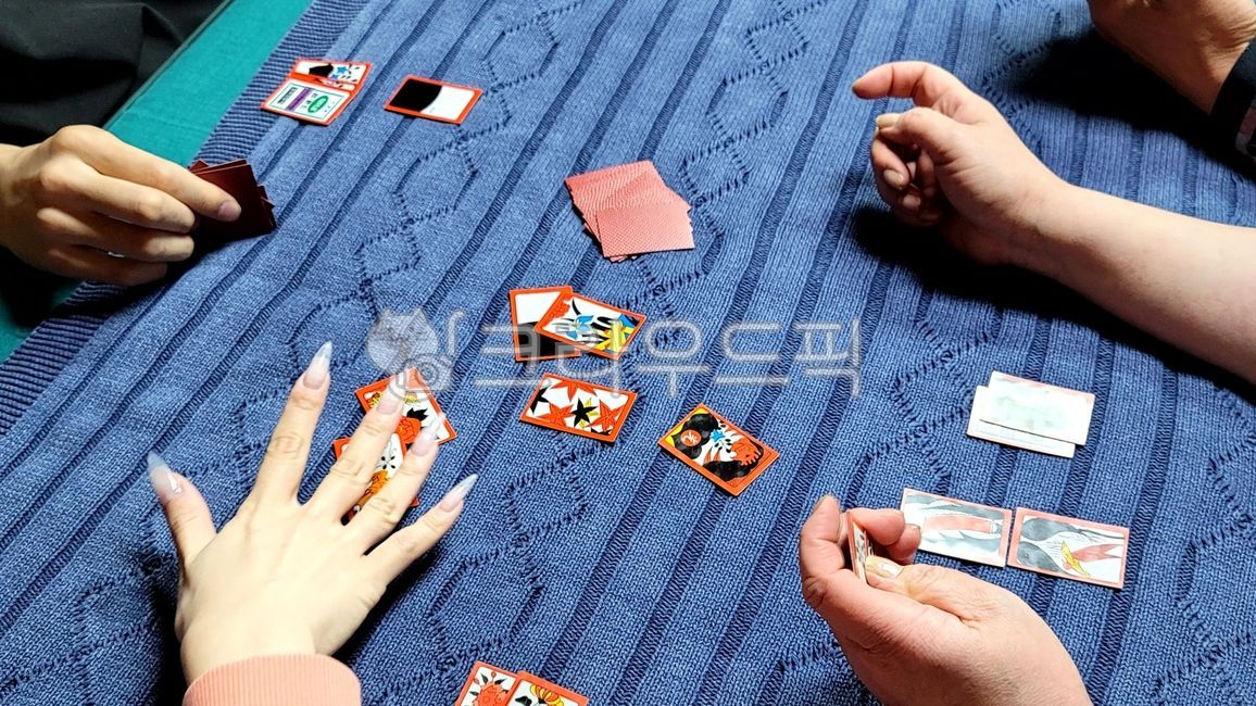 play,finger,GoStop,game,gambling,go,Korean culture,holiday,people,Hanafuda,holiday play,Hwatu,hand