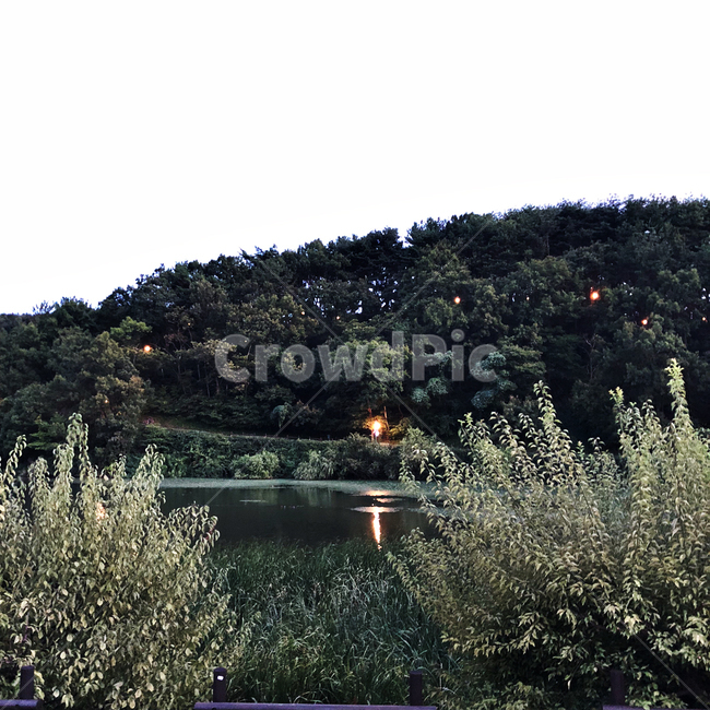 나무,호수,자연,산책,하늘,힐링,녹색,푸름,자연,풍경,nature,landscape,water,물
