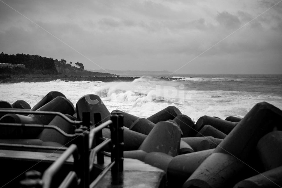 파도,태풍,흑백,바다,백파,흑백사진,높은파도,자연,풍경,nature,landscape,흑백,모노톤,monochrome,black and white,ocean,대양,sea,water,물,outdoors,옥외