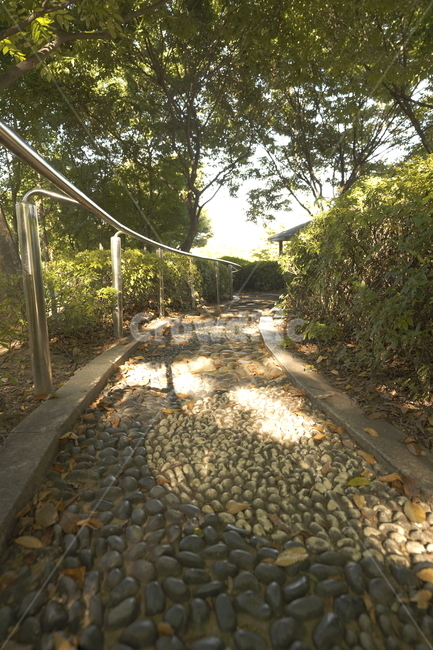 자갈,숲,길,나무,산책,감성,자연,풍경,nature,landscape,banister,난간,handrail,path,통로,walkway,보도