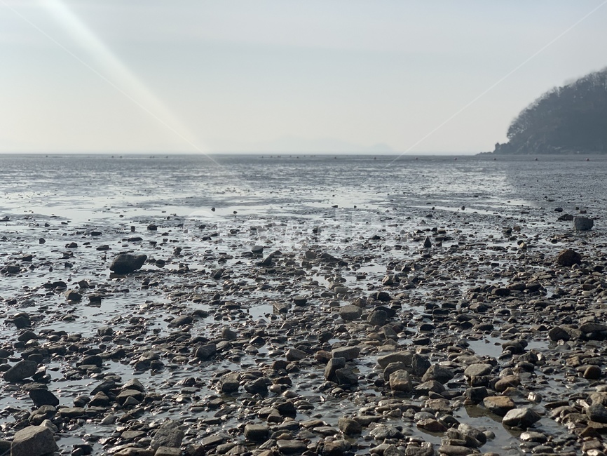 바닷가,갯벌,조약돌,새볔,바닷물,자연,풍경,nature,landscape