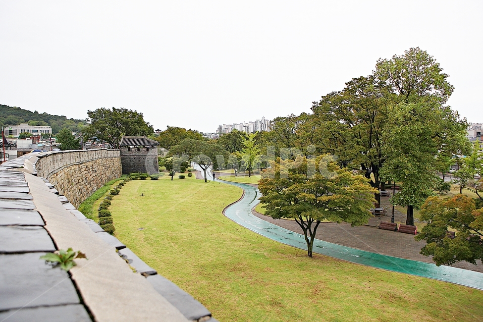 수원화성,성,성곽,길,둘레길,돌담,담,여름,자연,풍경,벽,방어벽,흙담,전통,한국전통,한국문화,korean traditional,korean culture