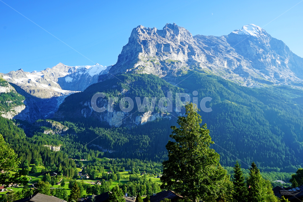스위스,장관,outdoors,옥외,nature,mountainrange,산,mountain,산맥,식물,abies,tree,나무,아비,fir,전나무,plant,피르스트,풍경,자연,자연,풍경,nature,landscape,해외,외국,세계,foreign,oversea,world,세계자연풍경,해외자연풍경,외국자연풍경,world nature landscape,mountain range