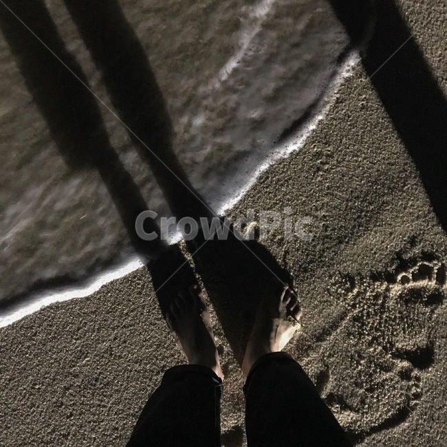 파도,해변,바다,모래,발