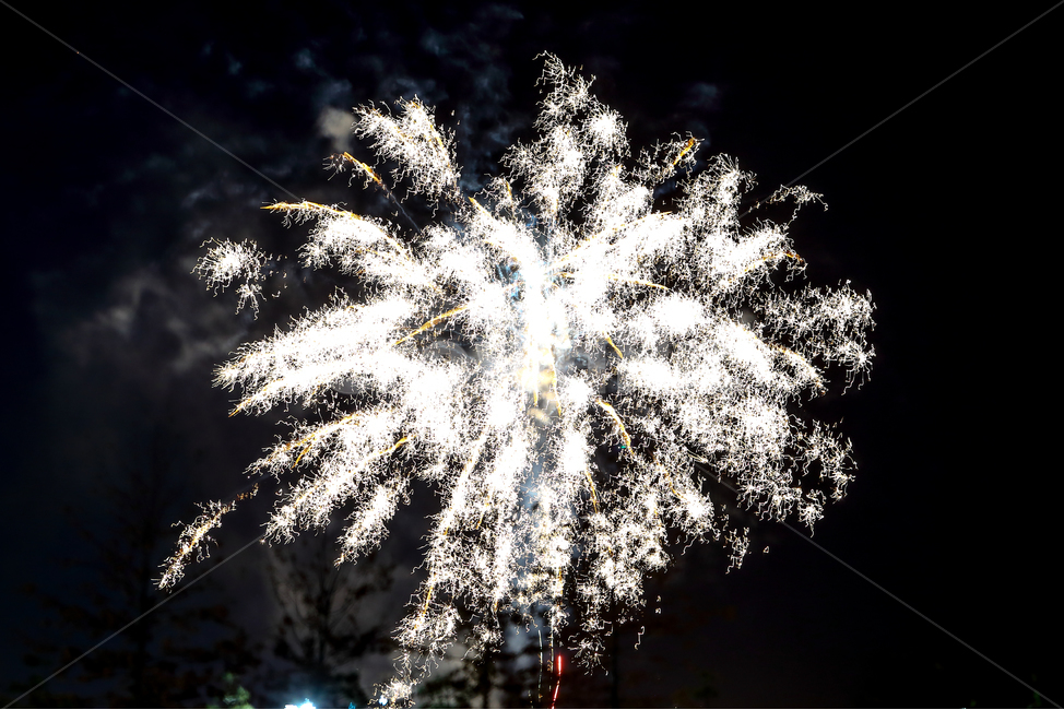 불꽃놀이,불꽃,새해,2019년새해,놀이,야경,밤,풍경,nightscape,night,landscape,축제,행사,festival,carnival,event,nature,자연,outdoors,옥외