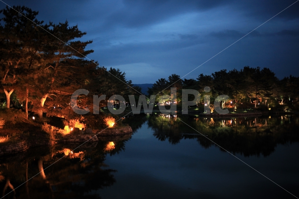 강,나무,자연,야경,숲,자연,풍경,nature,landscape,야경,밤,nightscape,night,water,물,outdoors,옥외