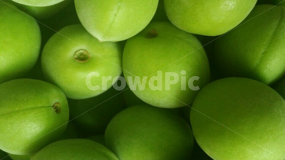 초록,여름,봄,매실,과일,과일,열매,fruit