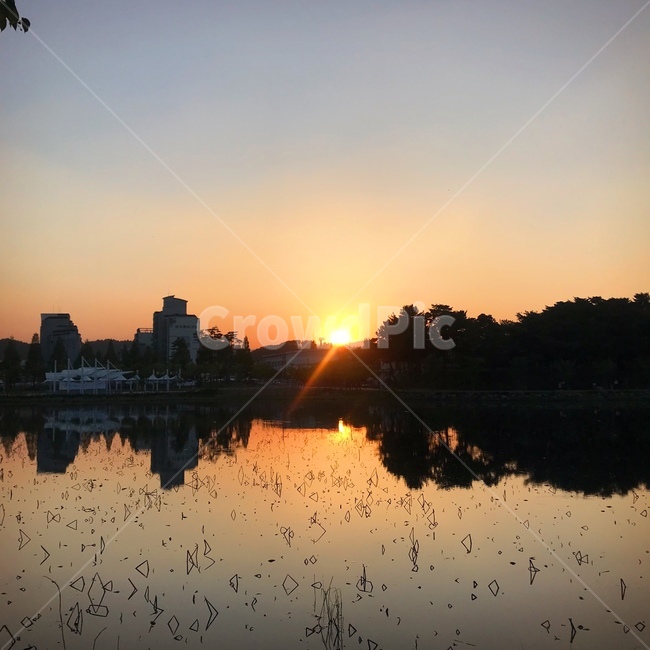 nature,자연,노을,flare,플레어,light,빛,outdoors,옥외,자연,풍경,nature,landscape