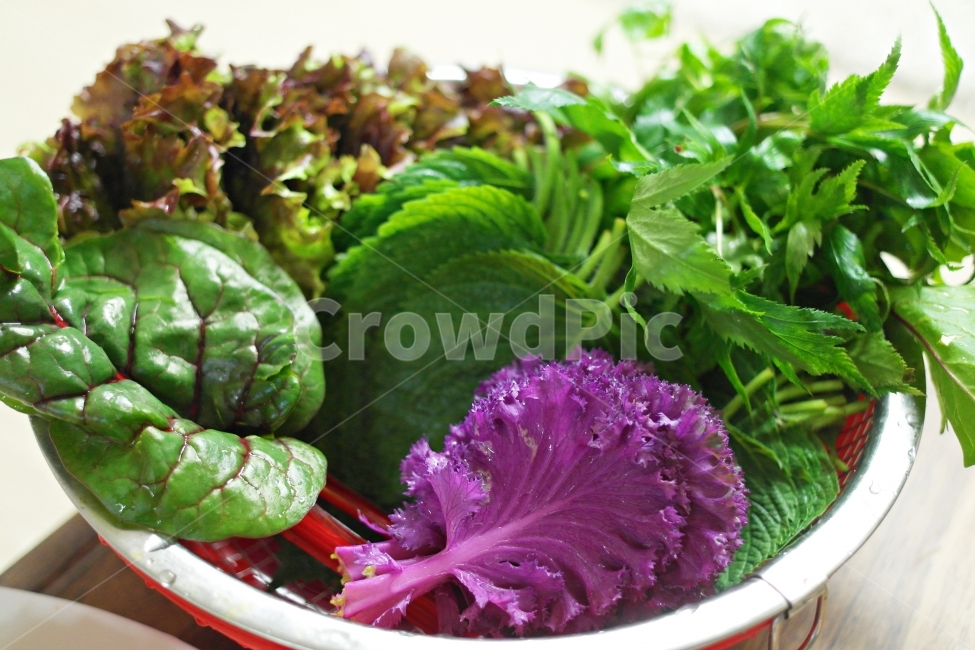 쌈채소,깻잎,채소,상추,신선,음식,식재료,요리,food,cook,meal,dishes,food reserves,채소,야채,vegetables
