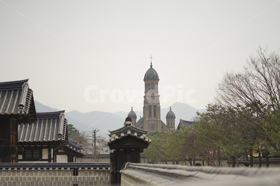 전주,전동성당,성당,한옥,한옥마을,한국적인,한국전통,한국,전통적인,jeonju,jeondong,catholicchurch,tradition,종교,신앙,religion,belief,faith,건축물,건물외관,exterior,building,structure,architecture,construction