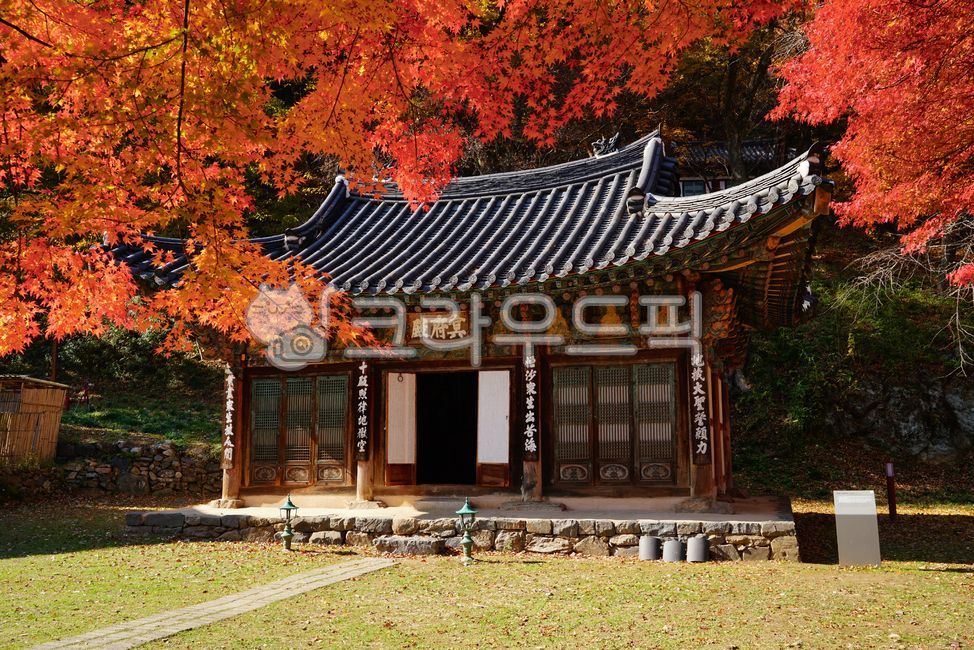 마곡사,공주마곡사,세계문화유산,사찰,사원,불교,공주,가을,단풍,10월,11월