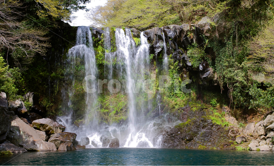 water,물,nature,waterfall,폭포,자연,outdoors,제주도,천제연폭포,한국자연풍경,한국자연경관,korea nature landscape