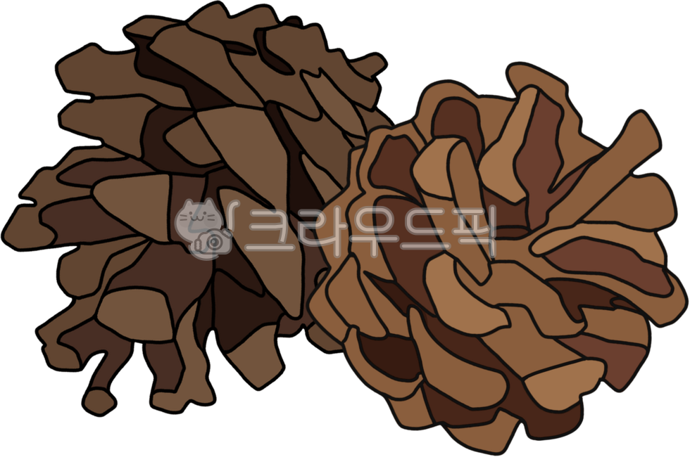 Pine cones,pine cone stickers,pine cone items,pine cone decorations,illustrations,drawings,hand drawings,pine trees,fruits,Christmas,Xmas