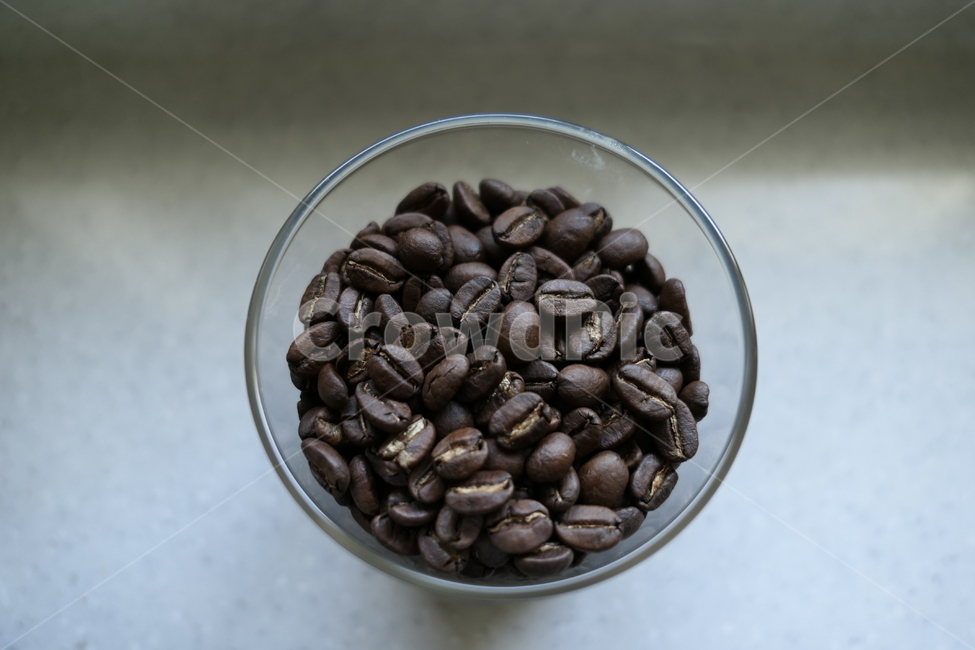 원두,커피,볶은커피,커피빈,커피원두,커피,카페,coffee,cafe