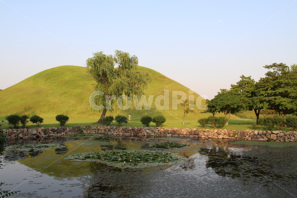 경상북도,경주,대릉원,무덤,물,field,들,자연,풍경,nature,landscape