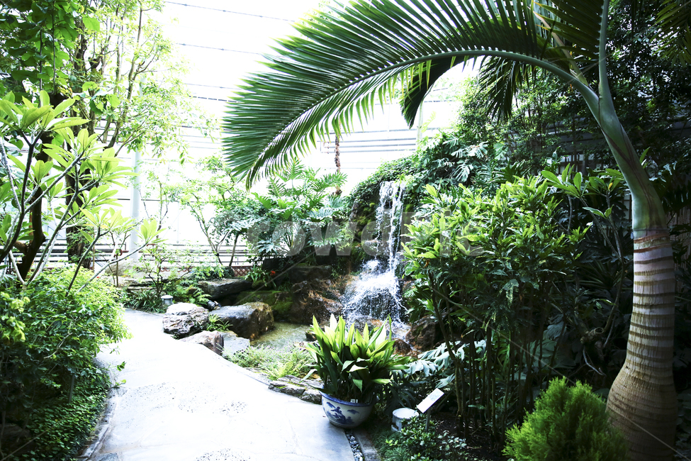 plant,식물,outdoors,옥외,nature,초목