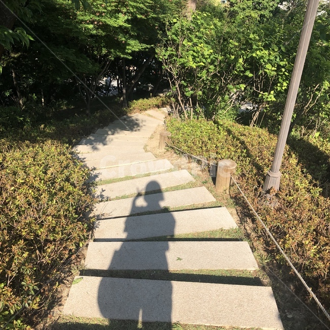 그림자,계단,풀,사람,내리막길