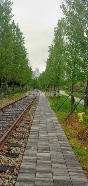 rail,레일,transportation,교통,railway,철도,traintrack,기찻길