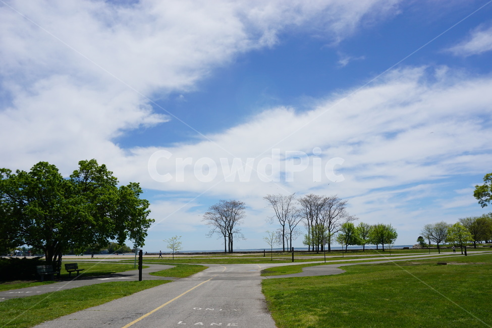asphalt,아스팔트,road,도로,식물,grass,잔디,park,공원,구름,cloud,tree,나무