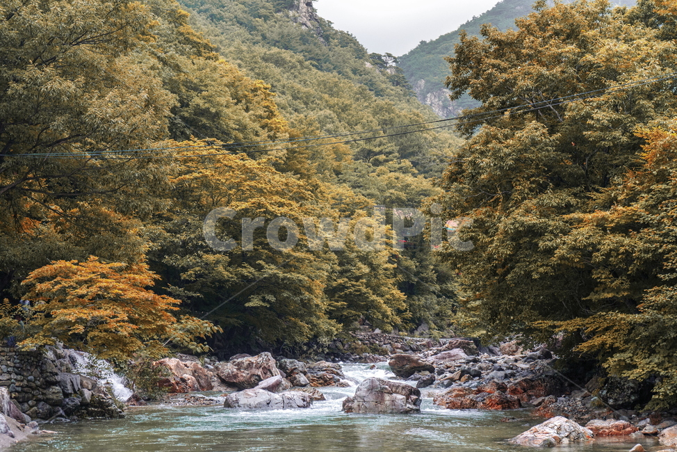 산,숲,계곡,폭포,신불산,숲속,단풍