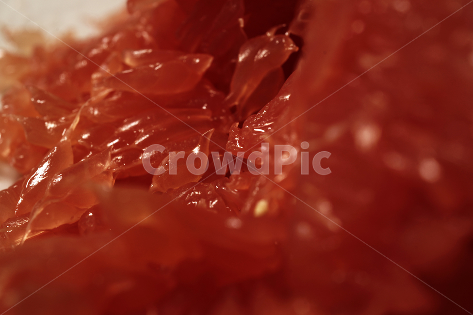 자몽,과일,과즙,알갱이,그레이프프루트,grapefruit,미국,비타민c