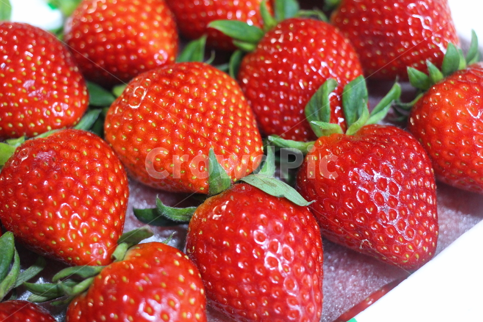 과일,딸기,strawberry,스트로베리,제철과일,맛있는,빨강,빨간색,음식,간식,디저트,식품,신선한,신선함,비타민,계절,열매,fruit,식물,plant,food,채소,야채,새콤,맛있다,식재료,cook,음식,식재료,요리,food,cook,meal,dishes,food reserves,과일,열매,fruit