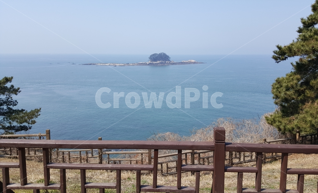 바닷가,바다,하늘,섬,소나무,울타리,언덕,잔디,자연,풍경,nature,landscape,land,땅,outdoors,옥외,railing,난간,water,물