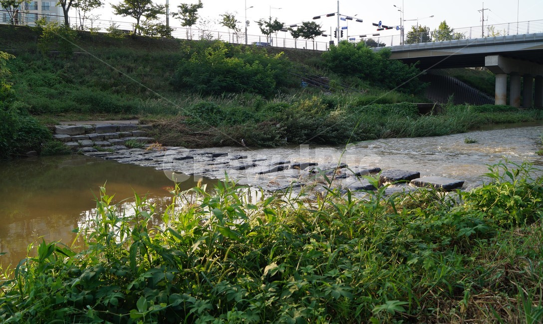 산책,산책로,강가,물,시냇물,개울가,동네,water,nature,자연,땅
