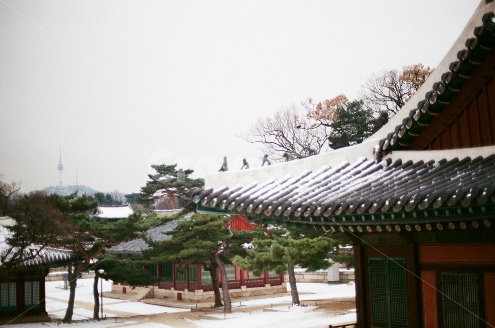 나무,겨울,풍경,전통,필름사진,행복,하늘,추억,대한민국,서울,눈,tradition,tree,winter,landscape,film,happy,sky,memory,korea,seoul,겨울,계절,winter,season,한국전통,한국문화,korean traditional,korean culture,랜드마크,landmark,tourist attraction,한국랜드마크,한국관광지,한국명소,korea landmark,korea tourist attraction,감성,sensible,feeling