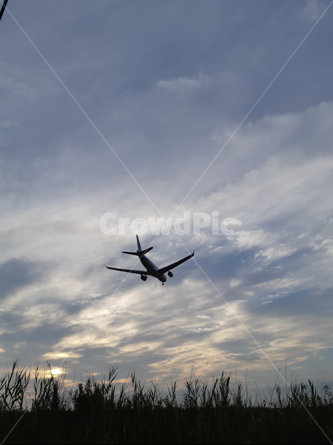 비행기,공항,석양,항공기,인천공항