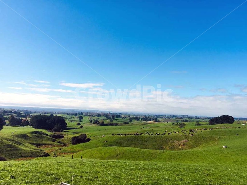 nature,자연,field,목초지,grassland,들,자연,풍경,nature,landscape