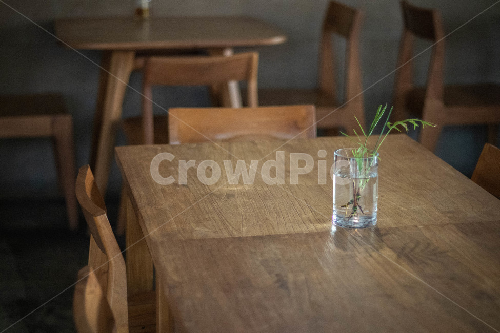 테이블,table,chair,식탁,화분,견목,나무,wood,인테리어,실내디자인,interior design