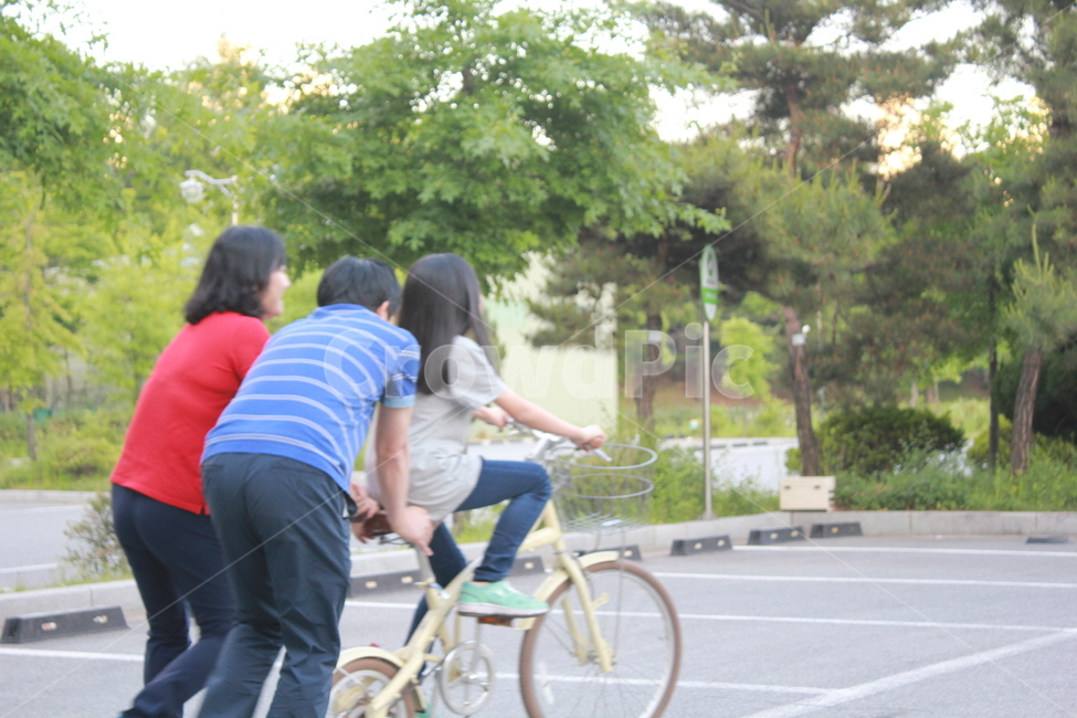 가족,자전거,협동,풍경,나무,family,bicycle,bike,tree
