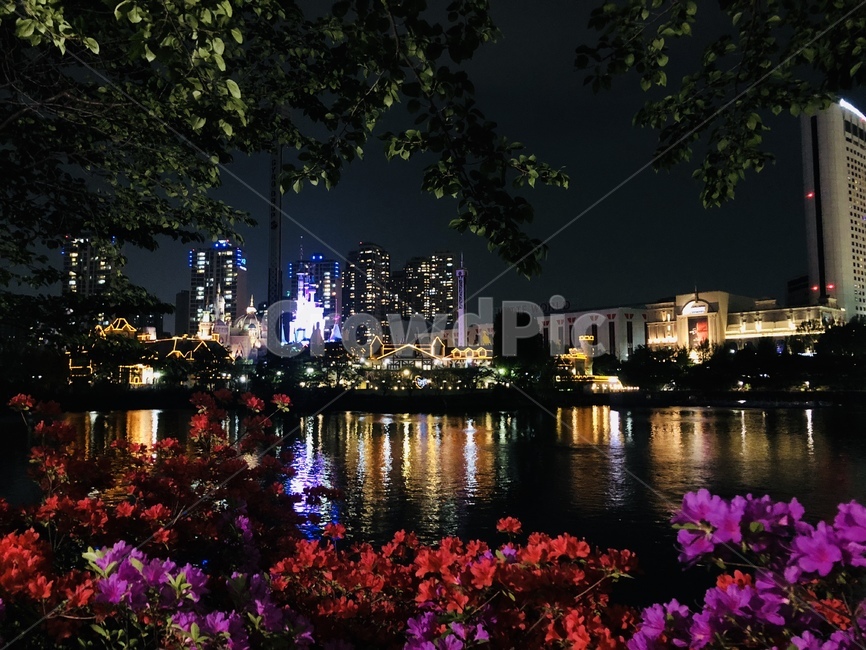 야경,호수,자연,밤풍경,풍경,꽃,flower,night,lake,야경,밤,풍경,nightscape,night,landscape