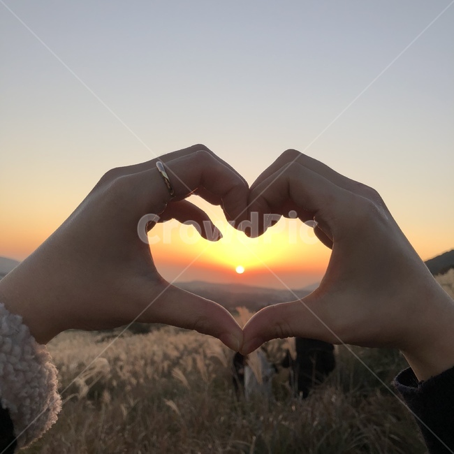 하트,손하트,우정,사랑,love