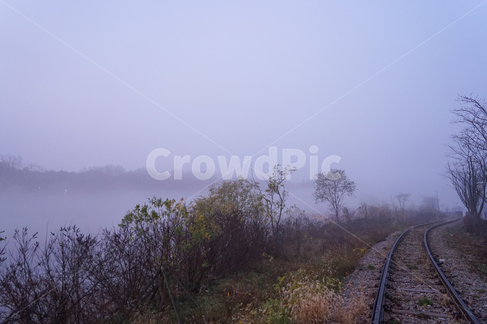철길,철로,기찻길,안개,나무,가을,새벽,자연,풍경,nature,landscape,transportation,교통,train track,railway,철도,rail,레일