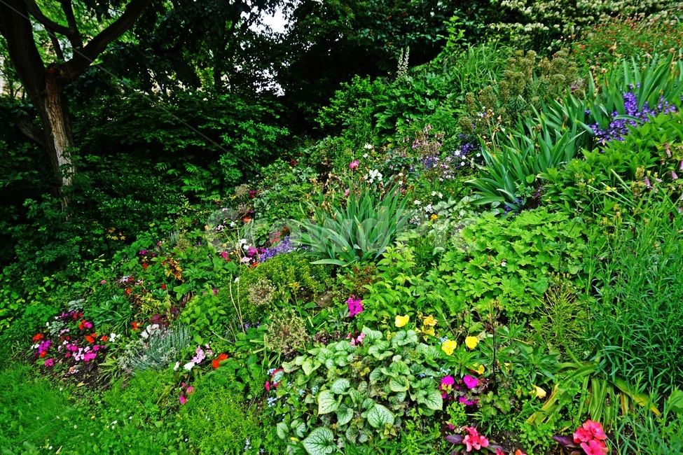 plant,식물,pottedplant,화분,꽃