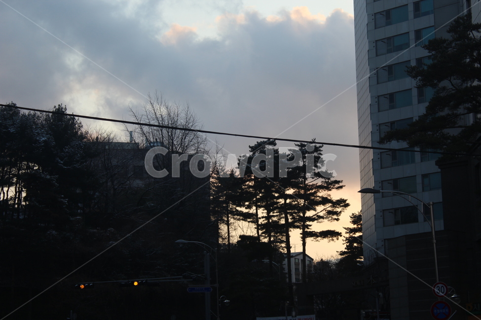 구름,하늘,나무,풍경,자연