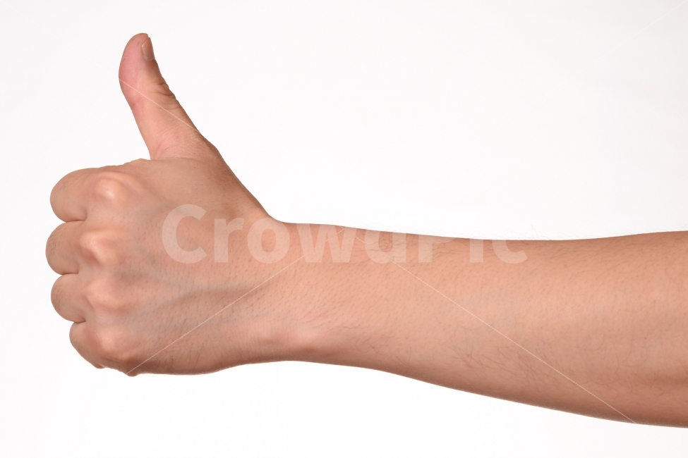 엄지,엄지척,최고,페이스북,흰색배경,남자손,남자,성인,동양인,손톱,팔,팔목,사람,인물,인간,human,person,신체일부,몸,body,손,제스처,표시,손짓,표현,gesture,hand,sign,expression,감정표현,기분,feeling,emotion,연출,컨셉,콘셉,direction,concept,누끼,remove background